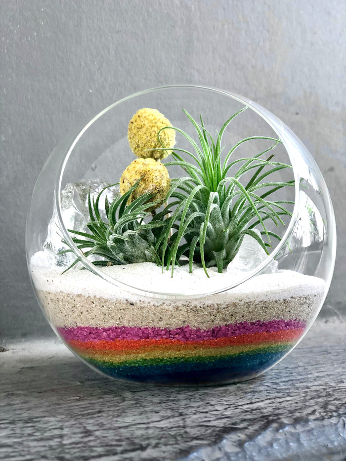Rainbow Tilly Crystal Garden