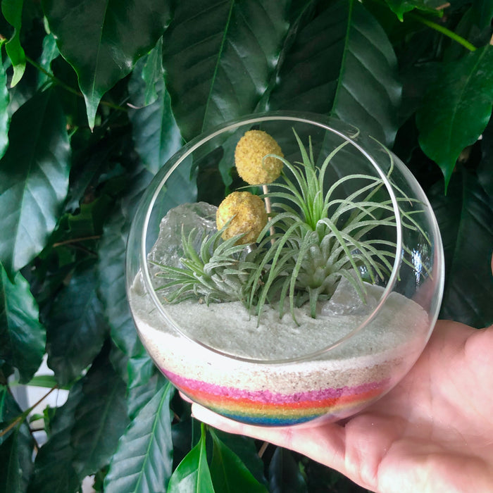 Rainbow Tilly Crystal Garden