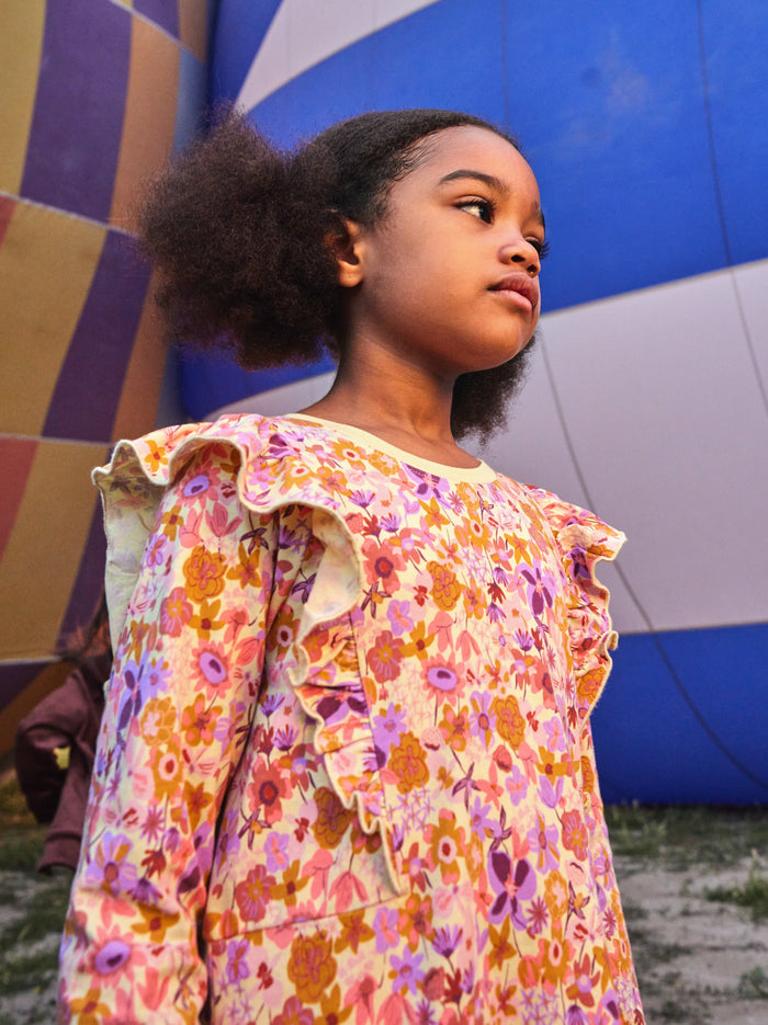 Ruffle Sleeve A-Line Dress