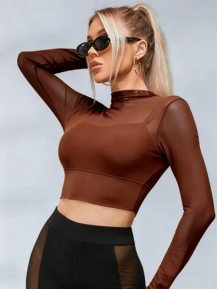 Sexy Sheer Mesh Long Sleeves