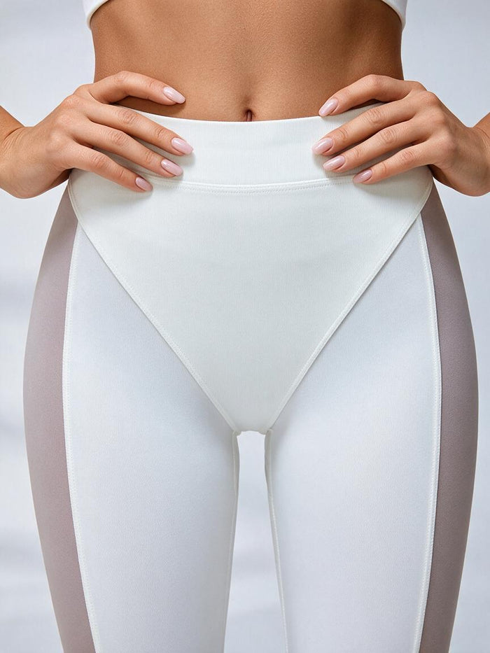 Sexy Sheer Mesh Push Up Tracksuit