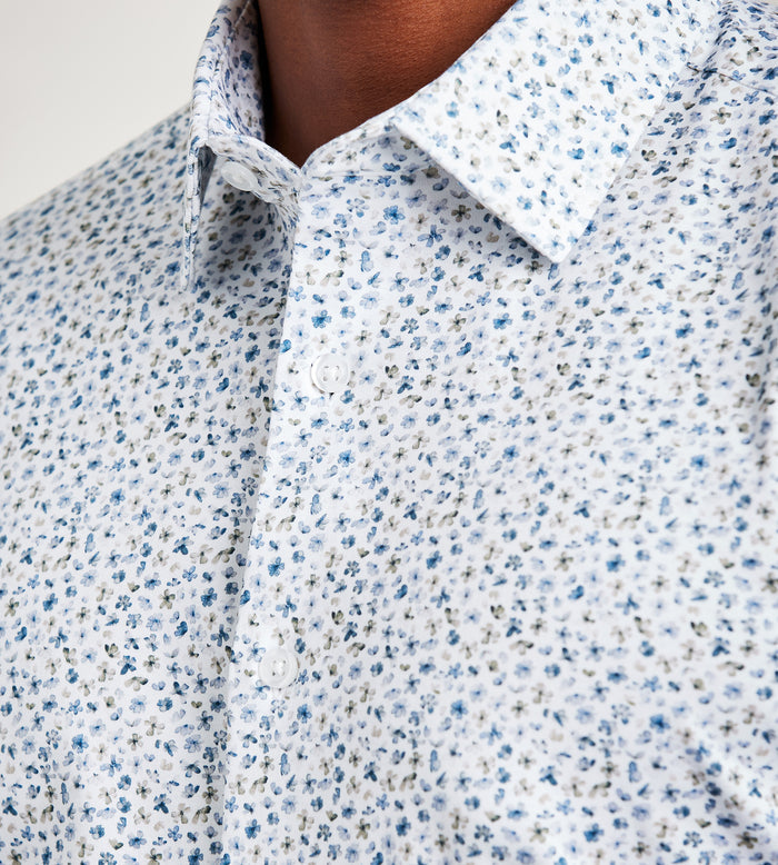 lightblue