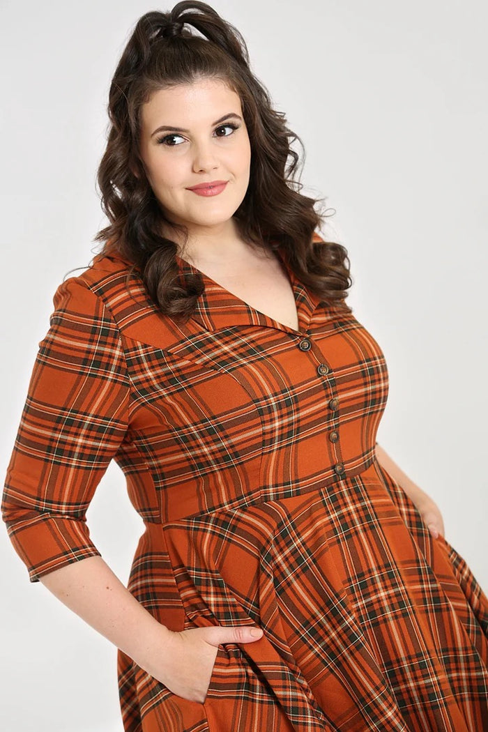 Swingkleid Tawny, Braun, Plus Size