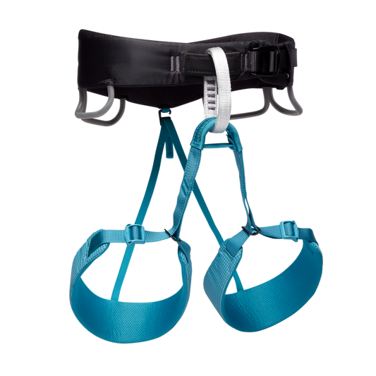 W Momentum Harness